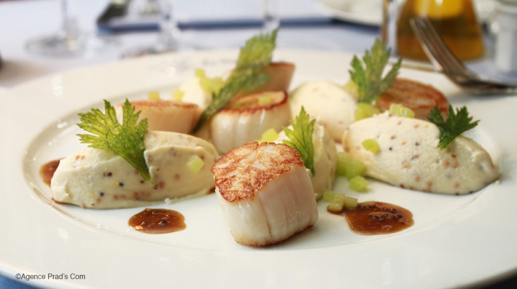 Noix de Saint Jacques et purée de Céleri 